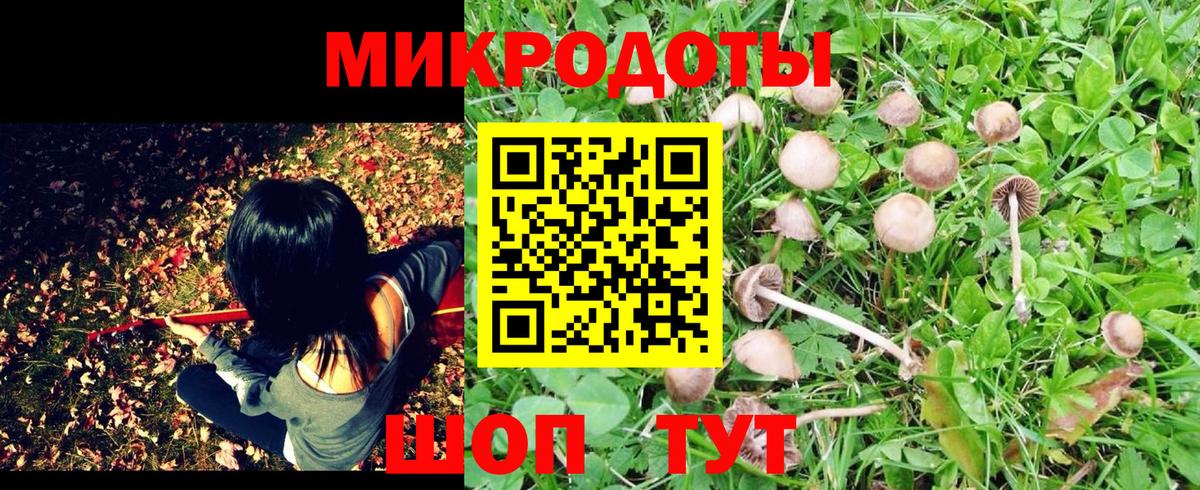 Галлюциногенные грибы мухоморы  Галлюциногенные грибы GOLDEN TEACHER  Вход с VPN  Ржев 